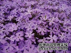 宫颈炎有哪些症状表现