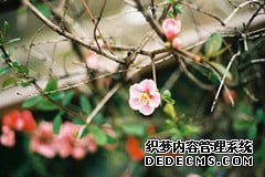 女性月经不调会引起妇科疾病吗