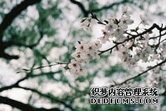 女性月经不调的原因是什么