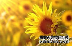 早孕检查的时间是什么时候做