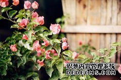 检查宫外孕要做哪些检查